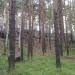 Гора Каменная, 293м в городе Екатеринбург