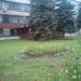 Бар Muskat в городе Павловский Посад