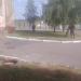 Пожарный гидрант (ru) в місті Бровари