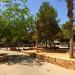 Площадь Марина Эспаньола (ru) in Torrevieja city