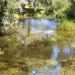 Pond in Salaspils city