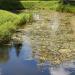 Pond in Salaspils city