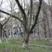 ул. Чкалова, 24 в городе Череповец