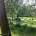 Заброшенное еврейское кладбище в городе Рыбинск