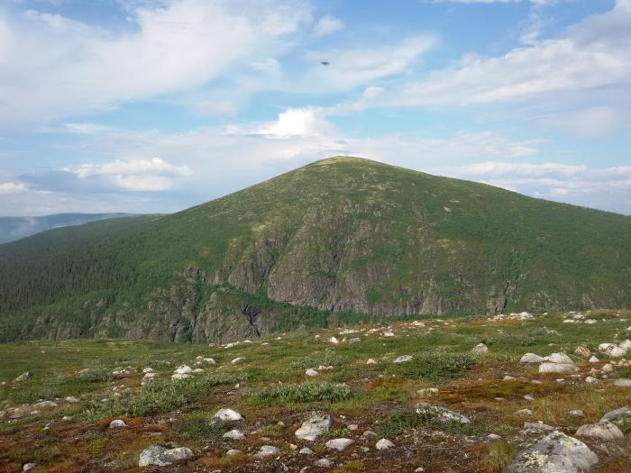 Гора волосяная Кандалакша