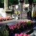 The tomb of Burcicki family in Warsaw city