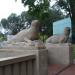 Скульптура «Морской лев»