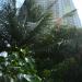 AD Wongamat Condo By Pattaya Capital Property в городе Паттайя