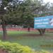 Bonsai Garden, Lalbagh