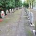 Quarter of soldiers fighting in Greater Poland Uprising in Warsaw city