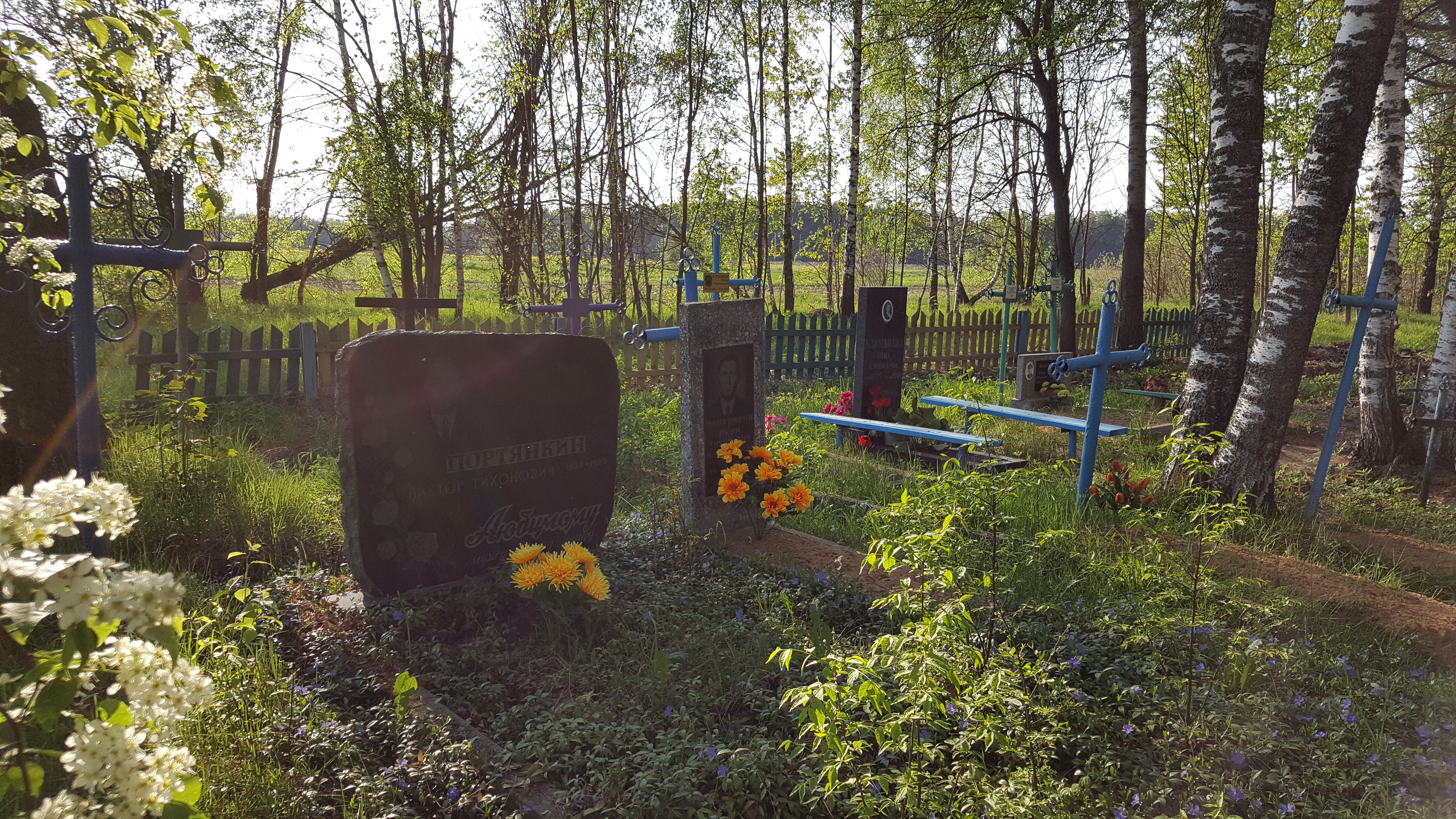 Деревенские погосты кладбища