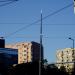 Pańska Street, 55 in Warsaw city