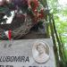 The grave of Teresa Lewtak-Stattler in Warsaw city