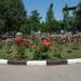 Клумба в городе Лазурное