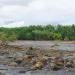 Mangrove Plantations Between Brgy. Mambag-id & Brgy. Bongol