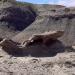 Parque Provincial Ischigualasto