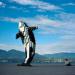 Digital Orca sculpture in Vancouver city
