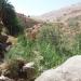 Wadi Bin Hammad: Hoher seitlicher Wasserfall