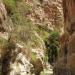 Wadi Bin Hammad: Offenes Tal