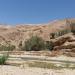 Wadi Bin Hammad: Offenes Tal