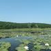 Floodplains of Oskil River