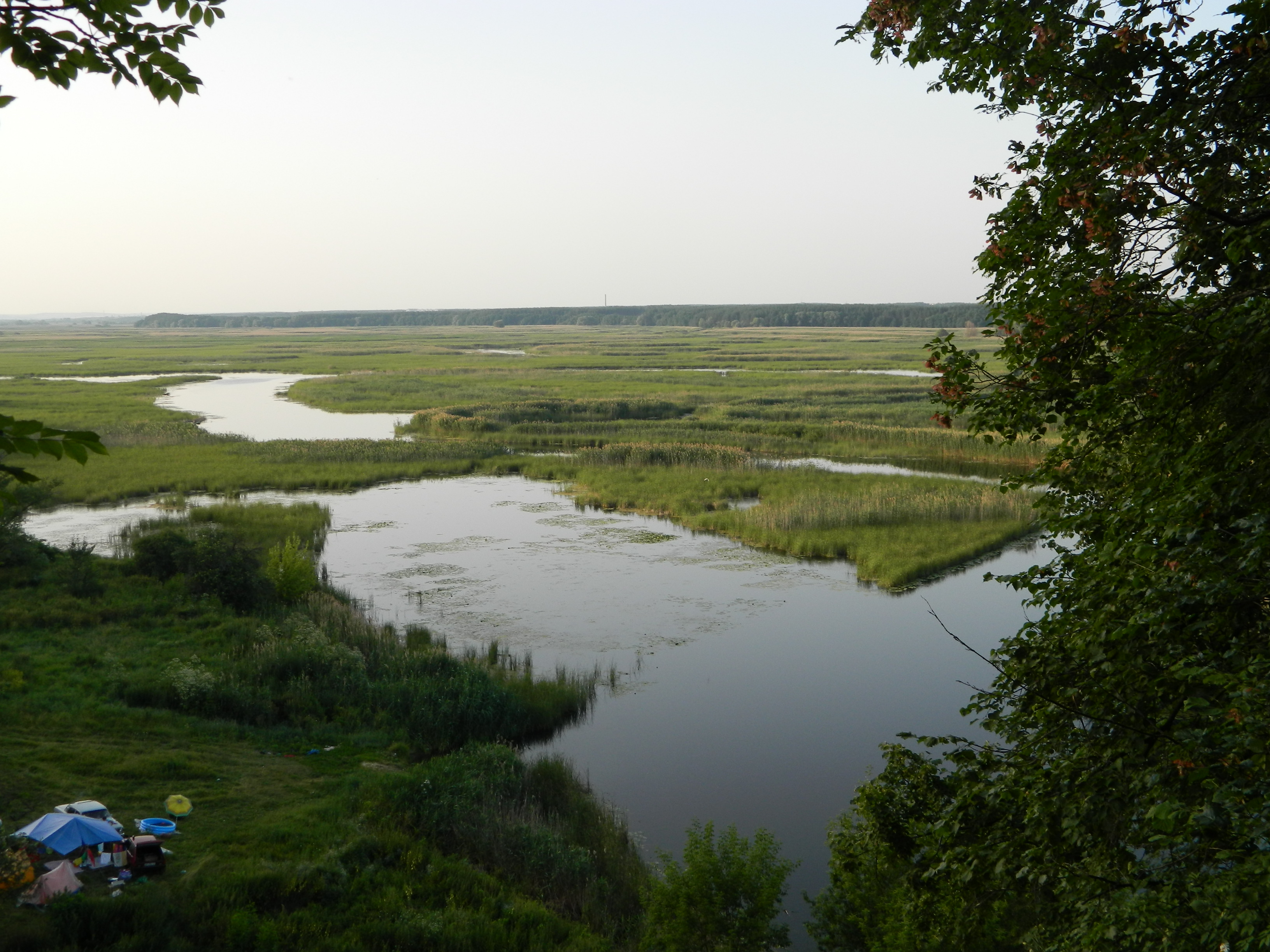 Floodplains of Oskil River