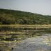 Floodplains of Oskil River