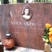 The tomb of Nina Andrycz in Warsaw city
