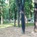 Овощной ларек в городе Архангельское