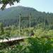 Bridge (en)