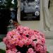 The tomb of Stefan Martynowski in Warsaw city
