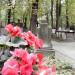 The tomb of Franciszka Wasilewska in Warsaw city
