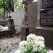 The tree on the tomb in Warsaw city