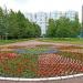 Цветник в городе Москва