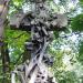 The tomb of family Munchenberg in Warsaw city