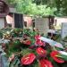 The tomb of the Jesuits in Warsaw city