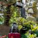 The tomb of Gieniusia Altvater in Warsaw city