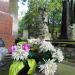 The tomb of family Migasiewicz in Warsaw city