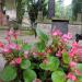 The tomb of family Migasiewicz in Warsaw city