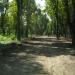 Gorky Park in Luhansk city