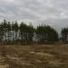 Лесопосадки в городе Тверь