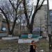 Клумба в місті Київ