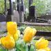 The tomb of Jacuński family in Warsaw city