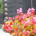 The tomb of Krajczyński family in Warsaw city