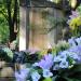 The tomb of family Gaczeński in Warsaw city