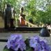 The tomb of Zbynuś Dąbrowski. in Warsaw city