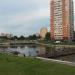 Пруд в городе Чехов