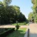 Головна алея парку в місті Івано-Франківськ