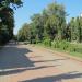 Головна алея парку в місті Івано-Франківськ