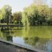 Minor Park Lake in Ivano-Frankivsk city